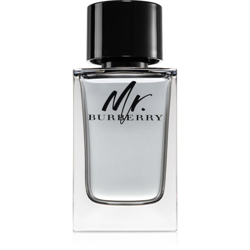Burberry Mr. Burberry eau de toilette for men 150 ml