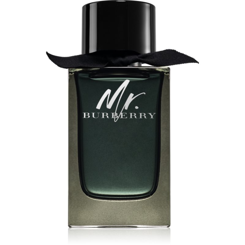 Burberry Mr. Burberry eau de parfum for men 150 ml