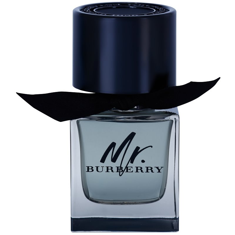 Burberry Mr. Burberry