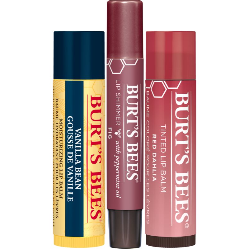Burt’s Bees Festive Mistletoe Kiss gift set for lips
