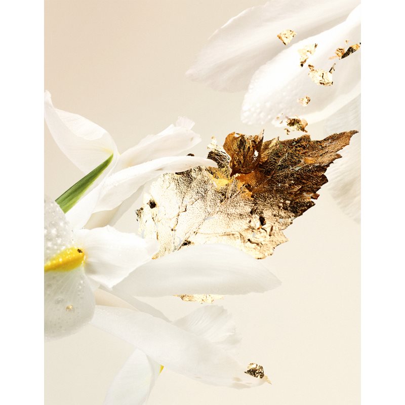 BULGARI Splendida Bvlgari Patchouli Tentation Eau De Parfum Pour Femme 30 Ml