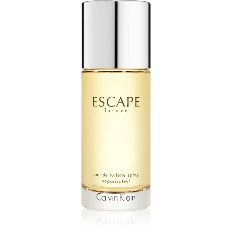 Calvin Klein Escape for Men toaletna voda za moške 100 ml