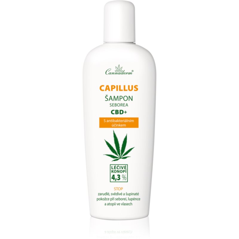 Cannaderm Seborea CBD+ šampon proti prhljaju 150 ml