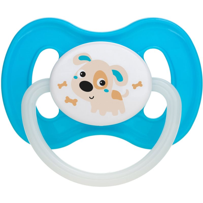 E-shop Canpol babies Bunny & Company 0-6m dudlík Turquoise 1 ks