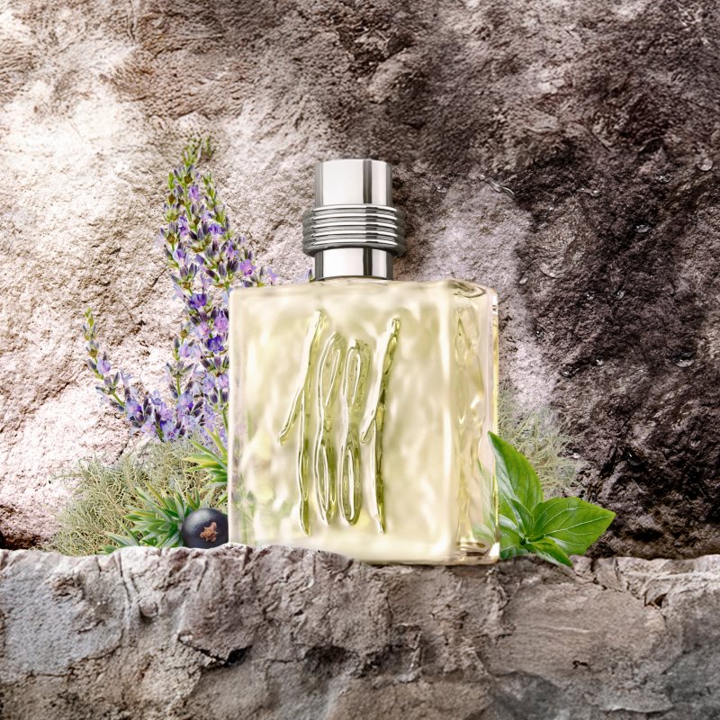 Cerruti 1881 Pour Homme toaletná voda pre mužov 200 ml (obrázok 3)