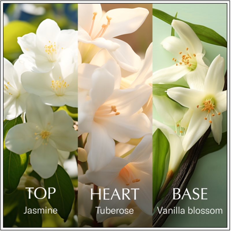 Chanson d'Eau Original Jasmine eau de toilette for women 100 ml