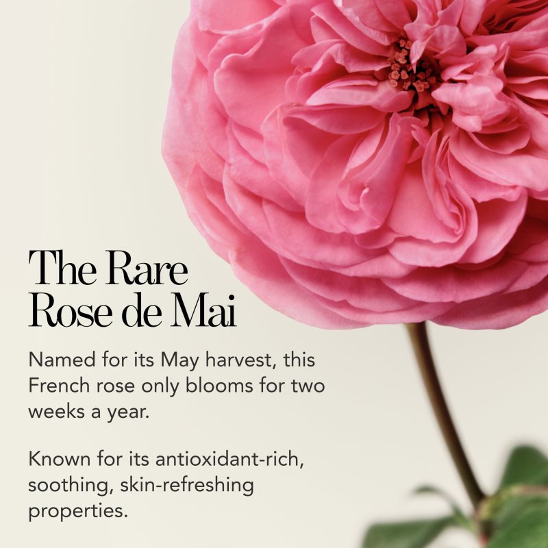 Chantecaille Rose de Mai Lip Balm hydratační balzám na rty 2.5 g (obrázek 10)