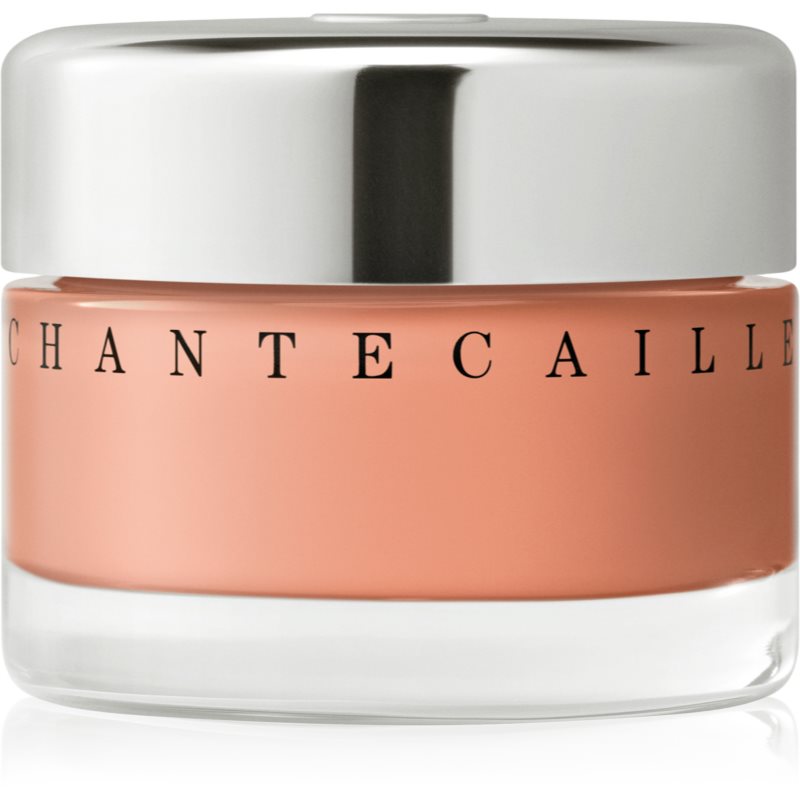 Chantecaille Future Skin Gel Foundation Hydratisierendes Make Up mit aufhellender Wirkung Maple 5C 30 g
