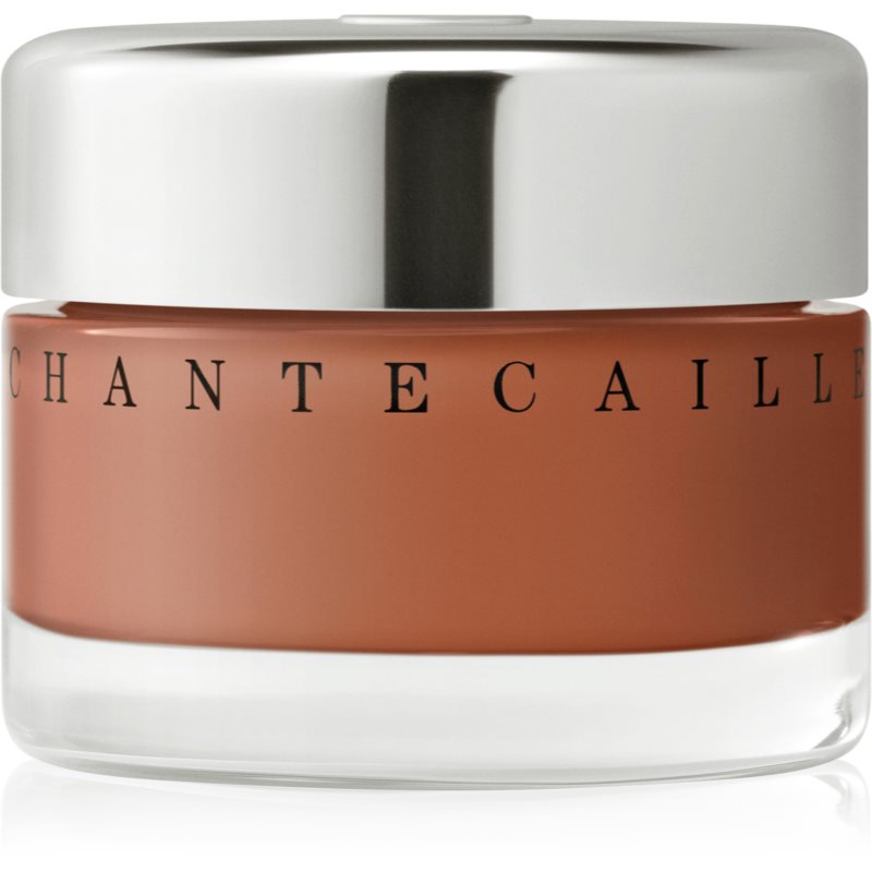 Chantecaille Future Skin Gel Foundation Hydratisierendes Make Up mit aufhellender Wirkung Tamarind 7C 30 g