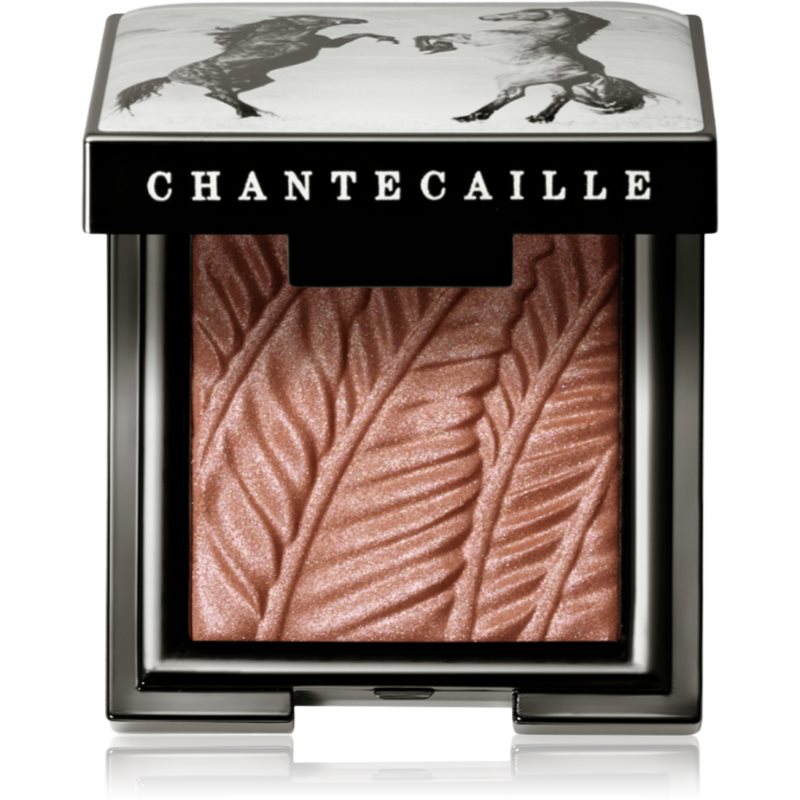Chantecaille Chantecaille Luminescent Eye Shades Lidschatten mit Perlmutteffekt Mustang 2.5 g