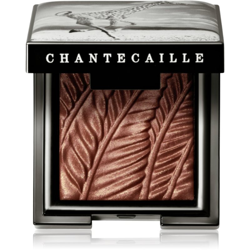 Chantecaille Luminescent Eye Shades perleťové oční stíny Giraffe 2.5 g