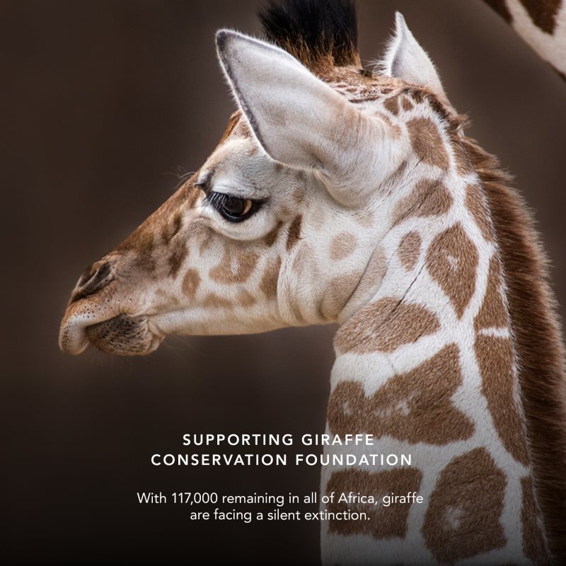 Chantecaille Luminescent Eye Shades perleťové očné tiene Giraffe 2.5 g (obrázok 4)
