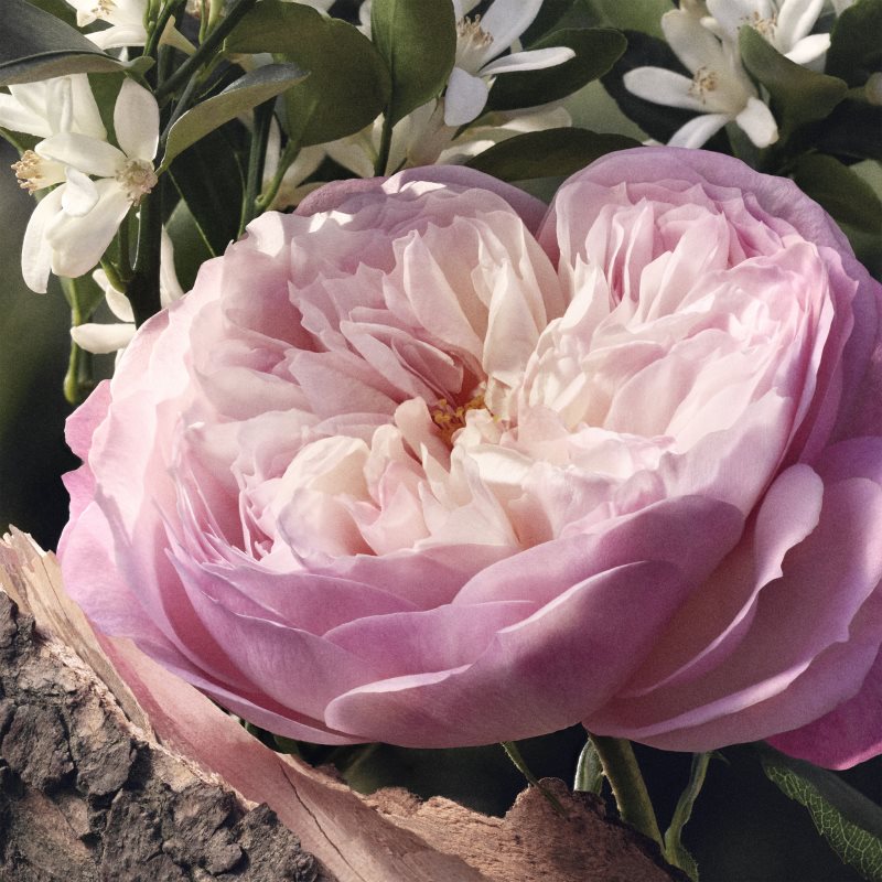 Chloé Rose Naturelle Eau De Parfum Refillable For Women 100 Ml