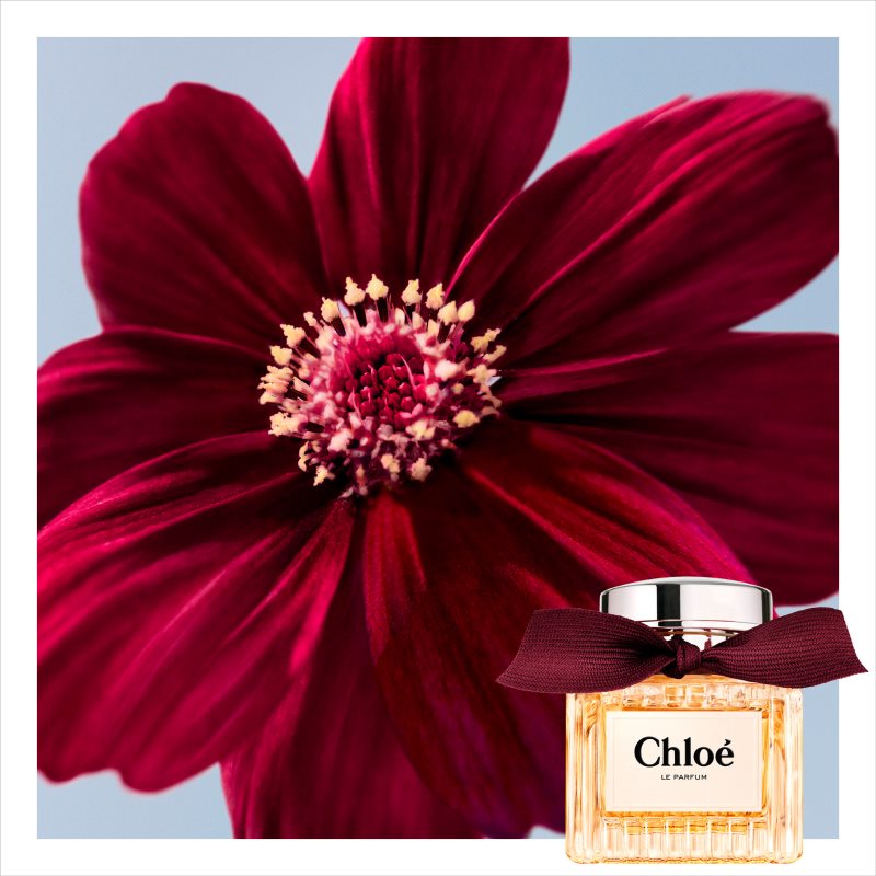 Chloé Le Parfum eau de parfum vaporisateur 50 ml - vue 8