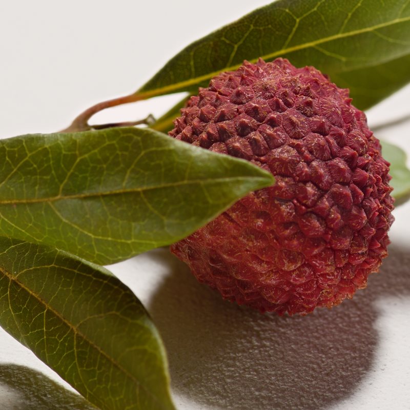 Chloé Chloé tělové mléko pro ženy 200 ml (obrázek 5)