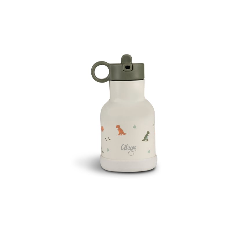 Citron Water Bottle 250 ml (Stainless Steel) vattenflaska i rostfritt stål Dino unisex