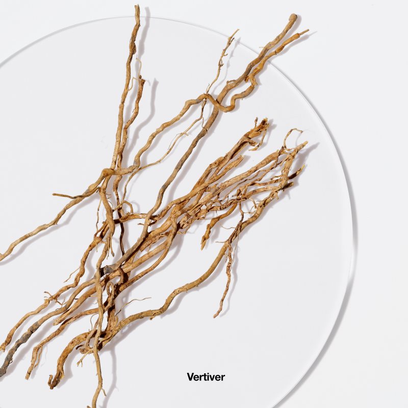 Clinique Aromatics Elixir™ Body Smoother tělové mléko pro ženy 200 ml (obrázek 3)