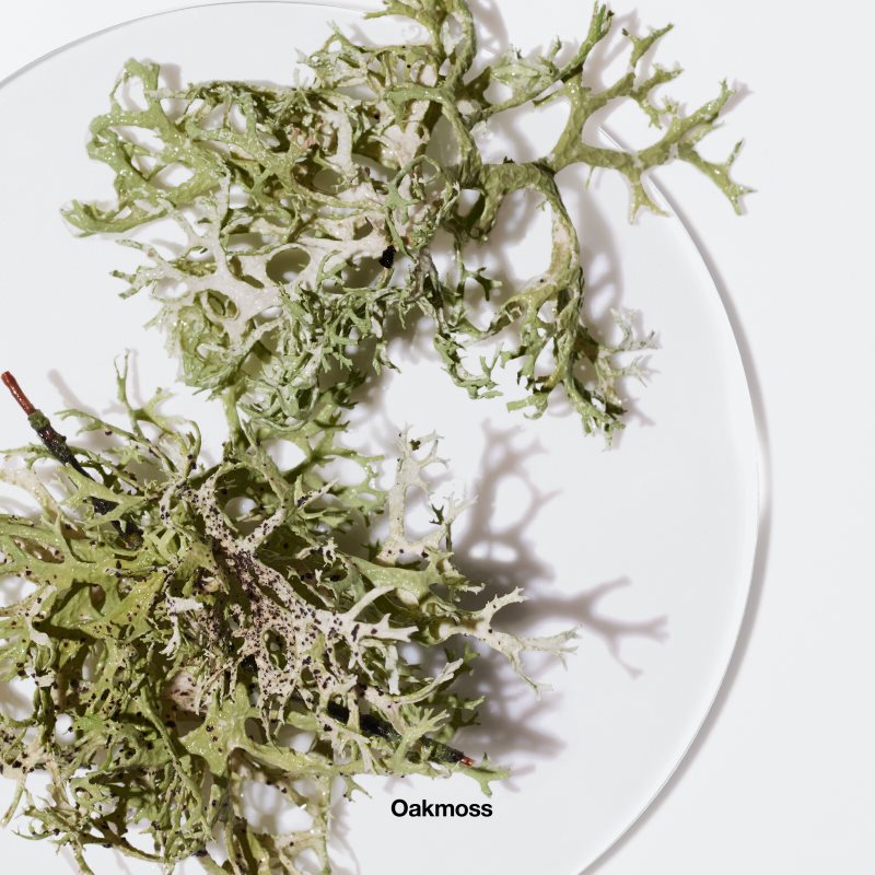 Clinique Aromatics Elixir™ Body Smoother tělové mléko pro ženy 200 ml (obrázek 5)