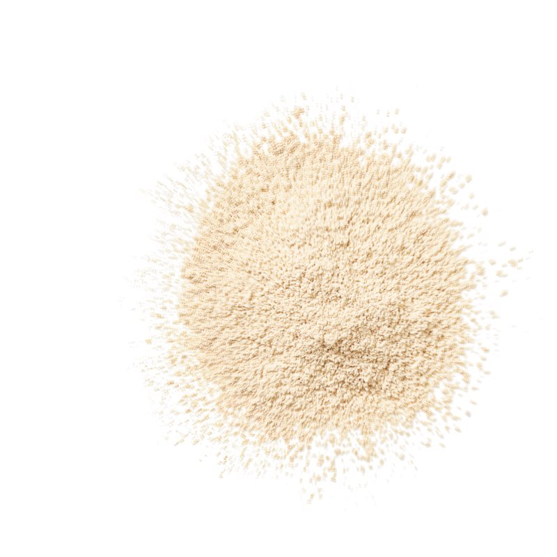 Clinique Blended Face Powder powder shade Invisible Blend 25 g