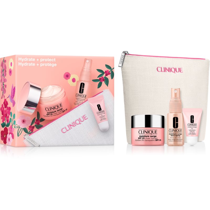 Clinique Mini Kit Hydrate   Protect подаръчен комплект