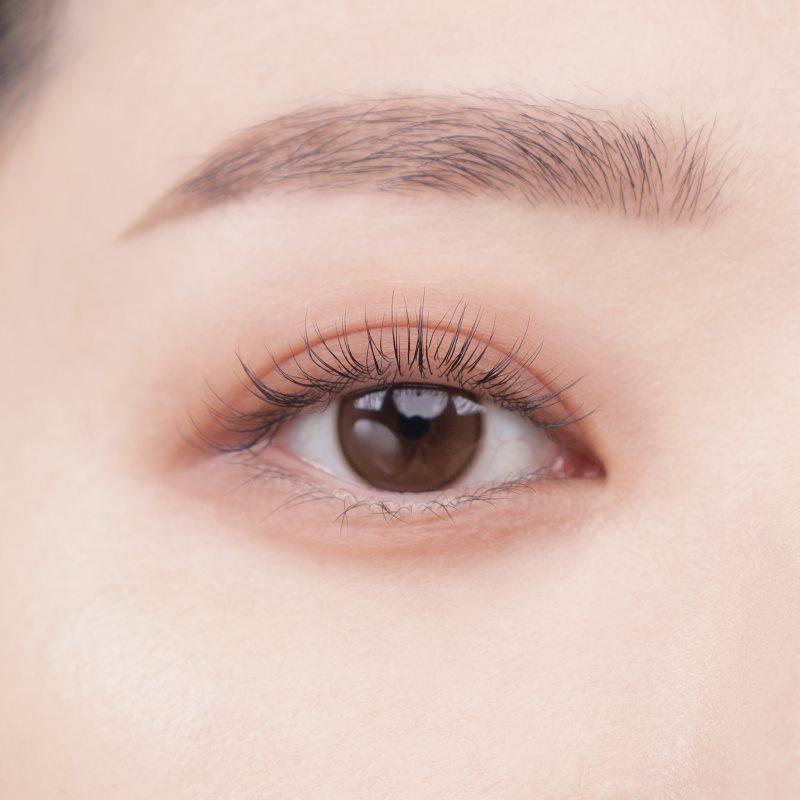 Colorgram Tintin Dory Eyeshadow Palette paletka očních stínů a rozjasňovačů odstín 02 Chestnut Dory 4 g (obrázek 3)