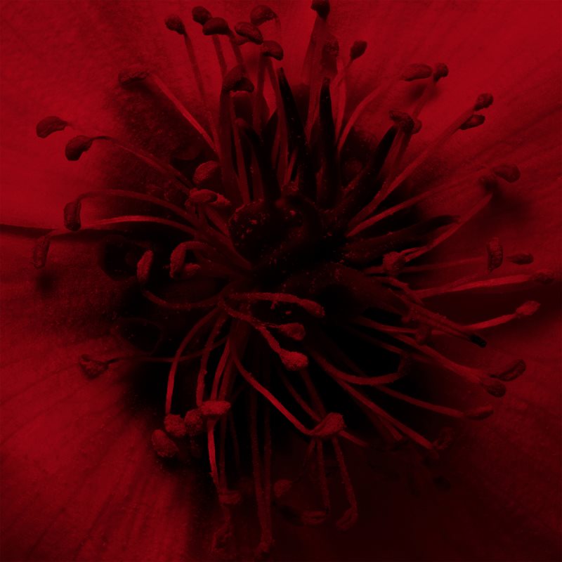 Comme Des Garçons Floriental парфумована вода унісекс 50 мл