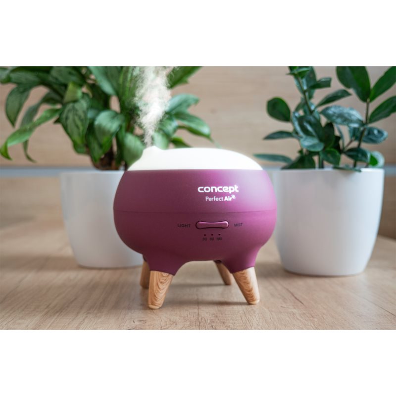 Concept DF1011 Perfect Air Berry Ultrasonic Aroma Diffuser And Air Humidifier With Timer 1 Pc
