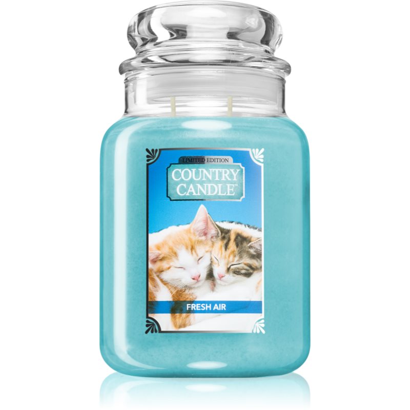 

Country Candle Fresh Air Kitten aроматична свічка