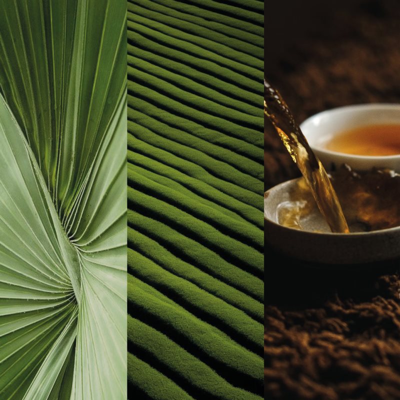 Thumbnail - Culti Milano Thé Gift Box Geschenkset