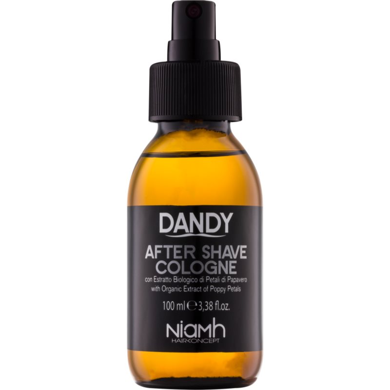 DANDY After Shave voda po holení 100 ml