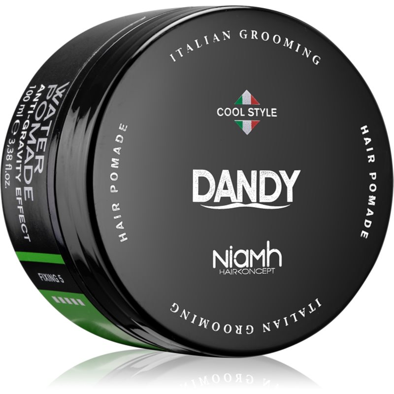 DANDY Water Pomade Anti-Gravity Effect Hair Pomade With Strong Hold 100 Ml
