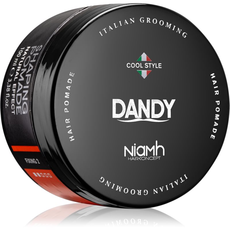 DANDY Shaping Pomade Natural Effect tekstūros suteikianti plaukų pomada 100 ml