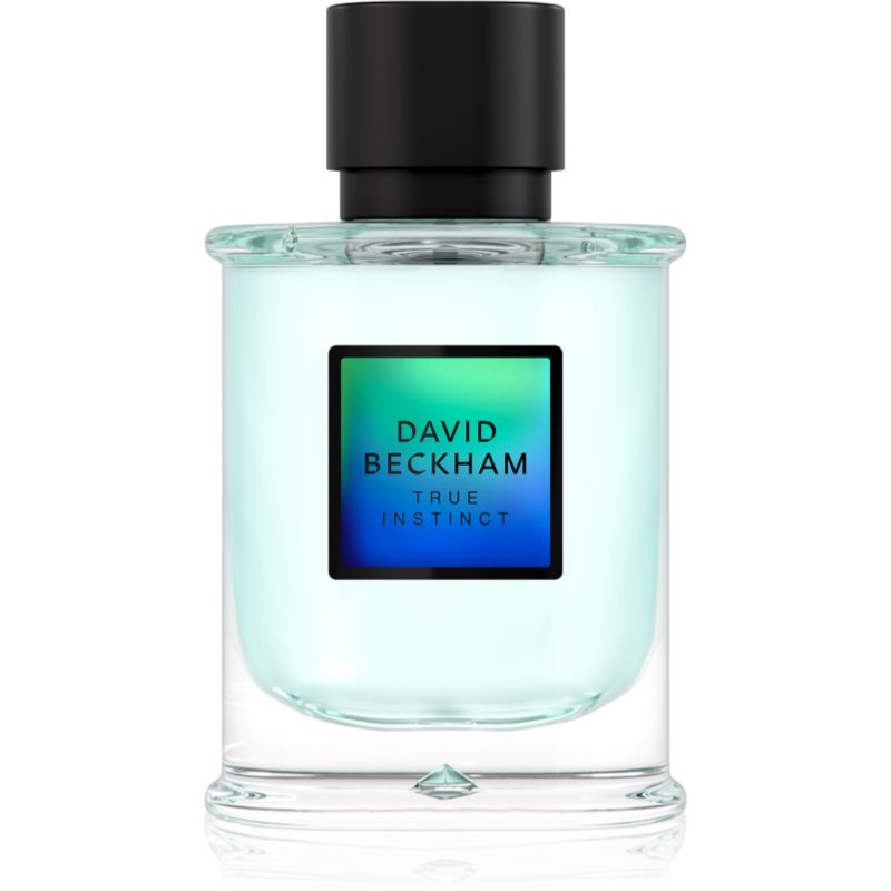 David Beckham True Instinct eau de parfum for men 75 ml
