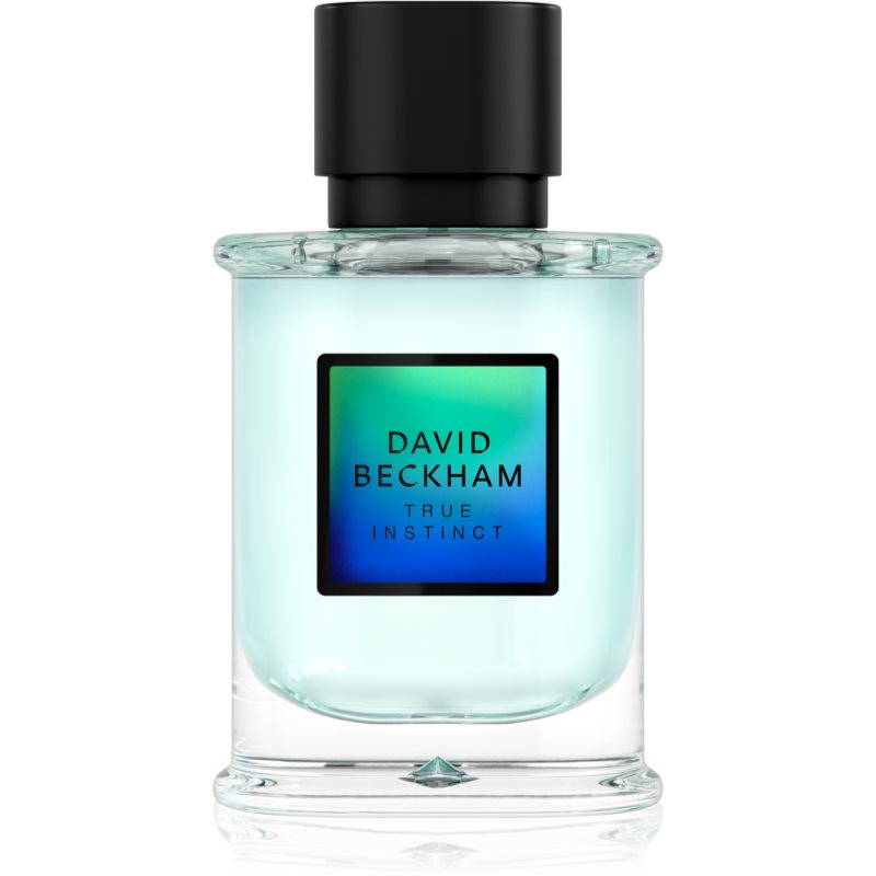 David Beckham True Instinct Eau de Parfum pour homme 50 ml male