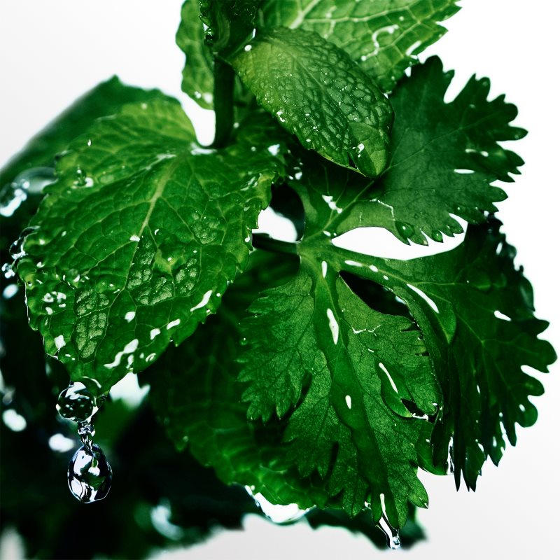 Davidoff Cool Water Eau De Toilette Pour Homme 75 Ml