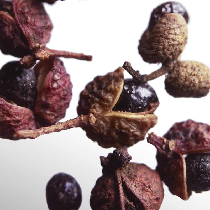 Davidoff Cool Water Parfum парфуми для чоловіків 100 мл