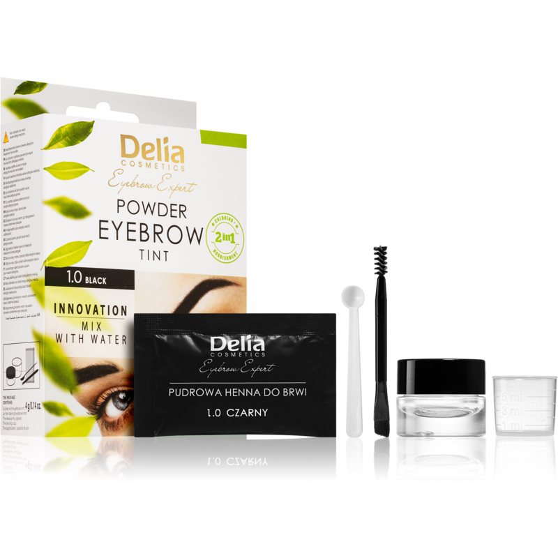 Delia Cosmetics Eyebrow Expert тонуюча фарба для брів відтінок 1.0 Black 4 гр