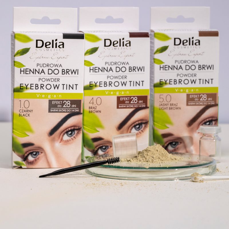 Delia Cosmetics Eyebrow Expert tónovací barva na obočí odstín 4.0 Brown 4 g (obrázek 4)