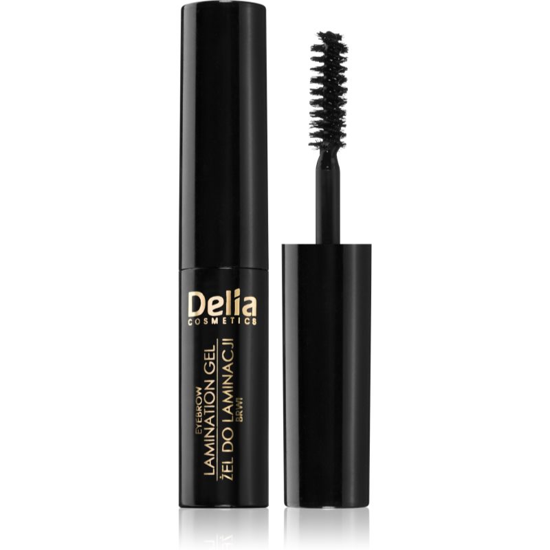 Delia Cosmetics Eyebrow Expert gel na obočí odstín 1.0 Black 4 ml