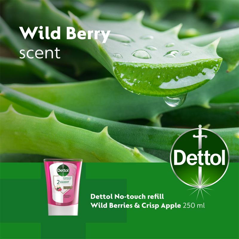 Dettol Energise Liquid Hand Wash Wild Berries & Crisp Apple Refill For Touch-free Soap Dispenser 250 Ml