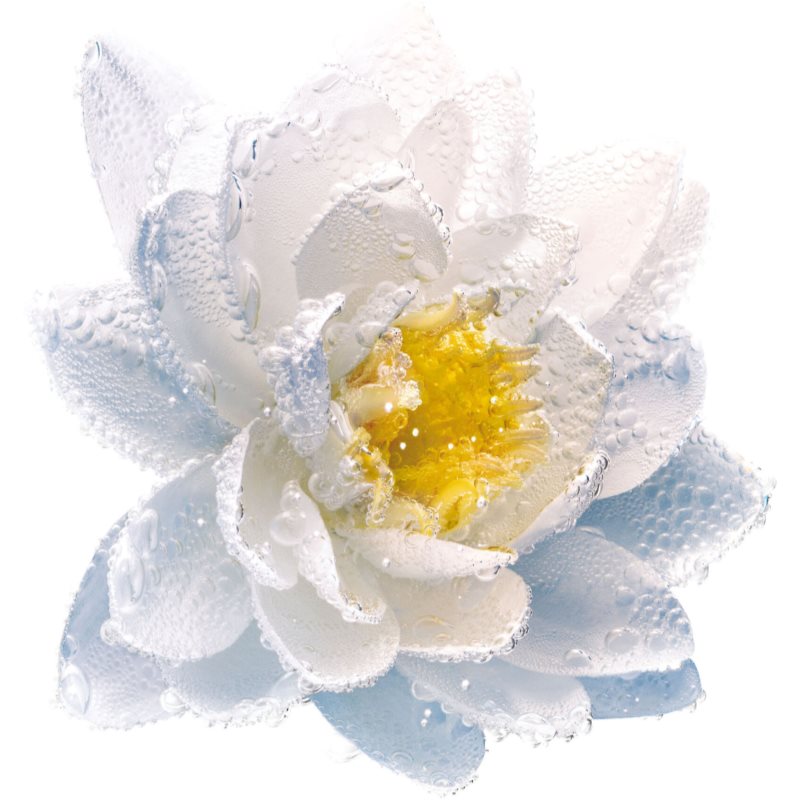 DIOR Eye & Lip Makeup Remover Two-phase Eye And Lip Makeup Remover 125 Ml