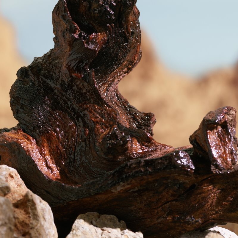 Dolce&Gabbana K by Dolce&Gabbana Elixir parfém pro muže 50 ml (obrázek 4)