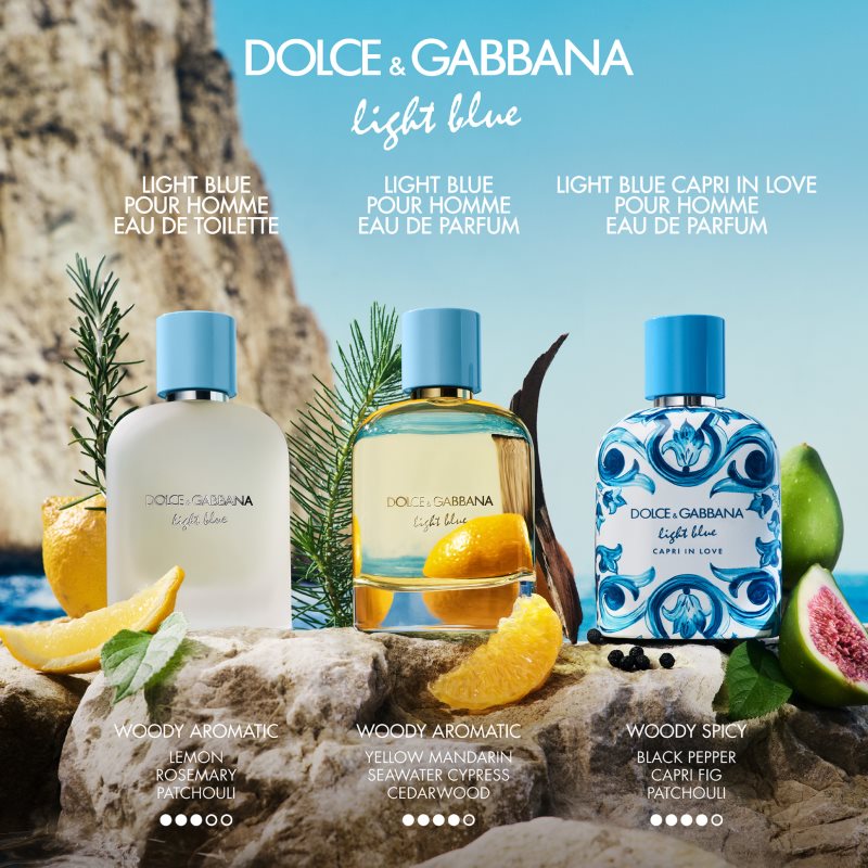 Dolce&Gabbana Light Blue Pour Homme Eau de Parfum parfémovaná voda pro muže 100 ml (obrázek 7)