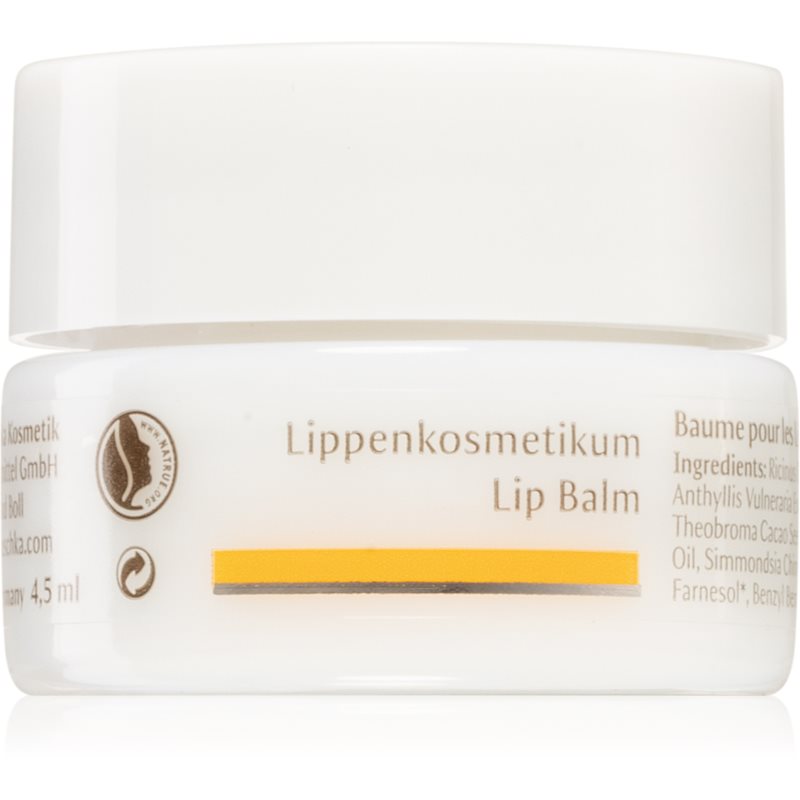 

Dr. Hauschka Eye And Lip Care бальзам для губ з поживним ефектом