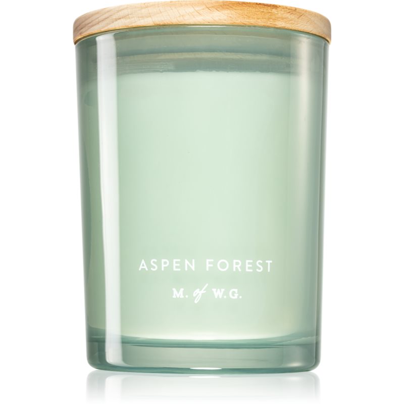 Makers of Wax Goods Aspen Forest scented candle 420 g
