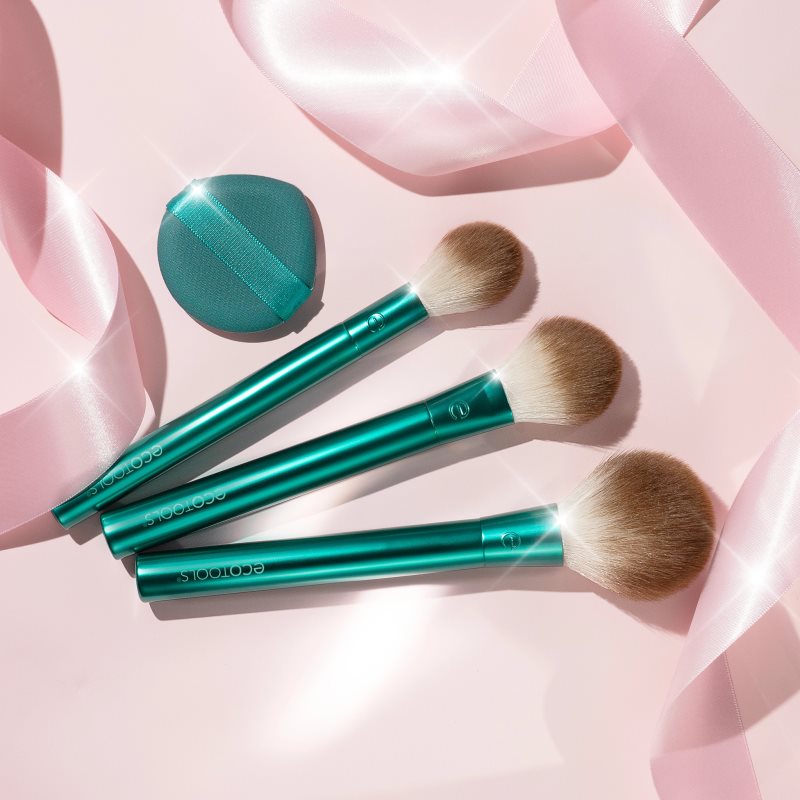 EcoTools Blend, Blush and Bronze Face Set brush set