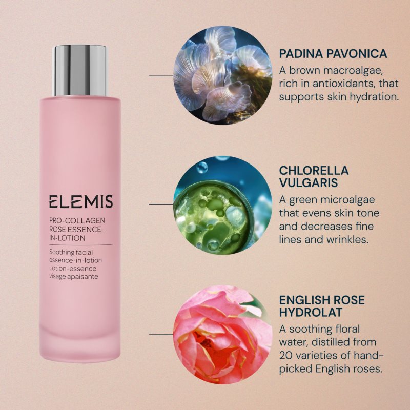 Elemis Pro-Collagen Rose Essence-In-Lotion Essenz für die Haut für intensive Hydratisierung 100 ml (Bild 5)