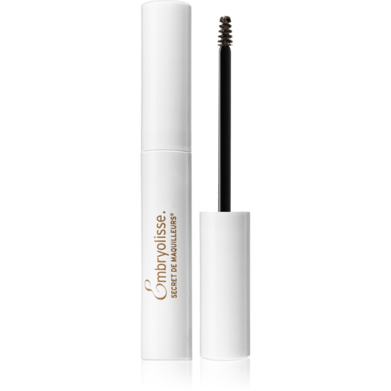 

Embryolisse Artist Secret Brow Volumizing Mascara туш для брів відтінок Deep Brown