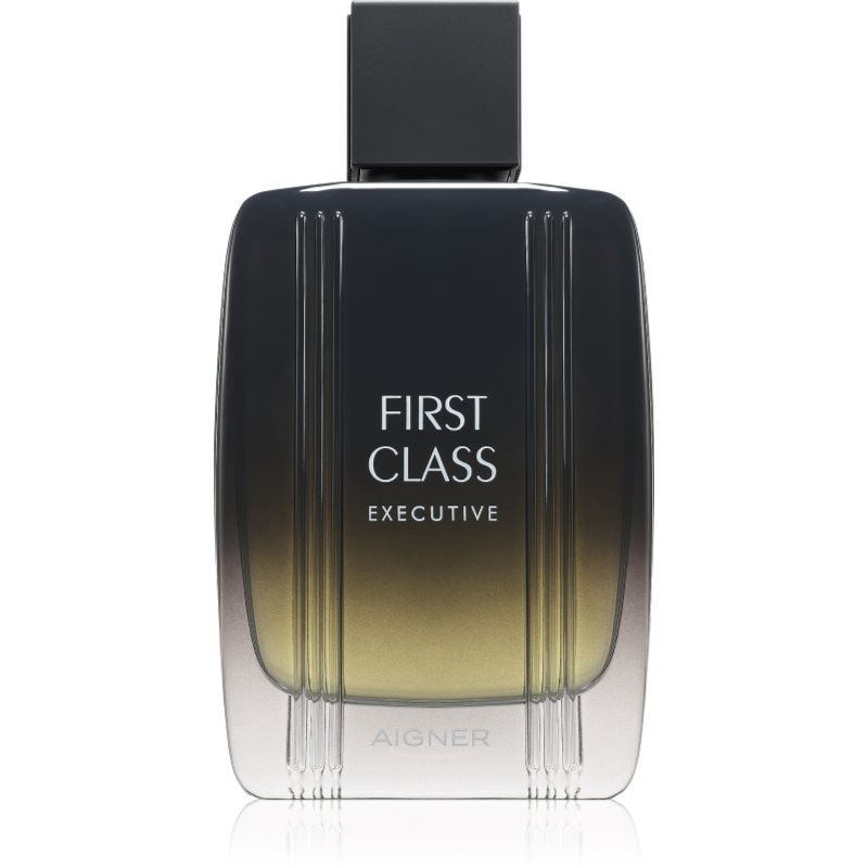Etienne Aigner First Class Executive toaletní voda pro muže 100 ml