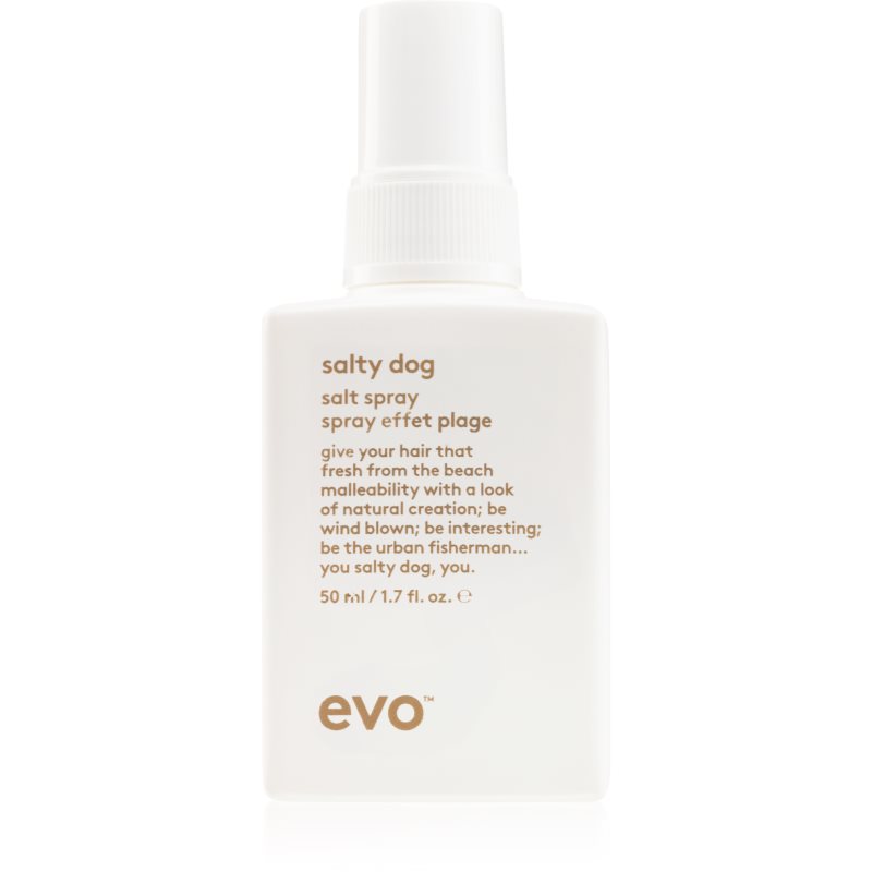 EVO Salty Dog Salt Spray salziges Spray für einen Strandeffekt 50 ml